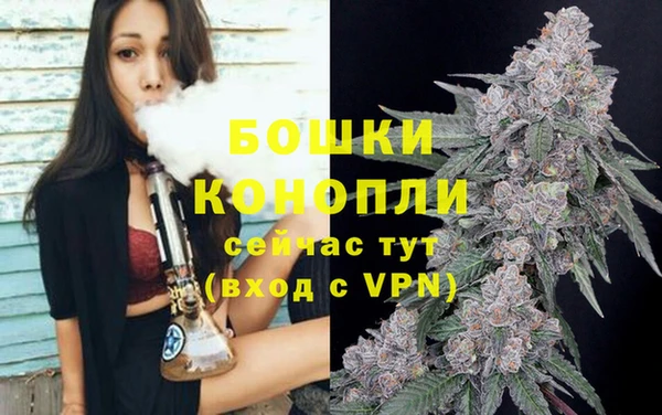 индика Зеленокумск